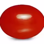 Japanese Coral (मूंगा  )