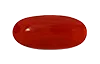 Red Coral (  लाल मूंगा  )