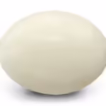 White Coral (  सफ़ेद मूंगा  )