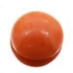 Japanese Coral (Deshi Moonga)