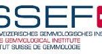 SSEF