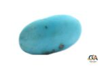 Turquoise (Firoza) 17.25Carat (18.97Ratti) - Image 5