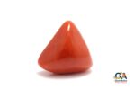 Red Coral 22.94 Carat (Moonga 25.23 Ratti) - Image 5