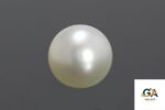South Sea Pearl (Moti) 7.47Carat (8.21 Ratti) - Image 3