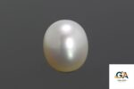 South Sea Pearl (Moti) 7.80Carat (8.58 Ratti) - Image 3