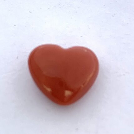 Red Coral 7.06 Carat (7.84 Ratti)