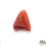 Red Coral 7.07 Carat (7.77 Ratti) - Image 2