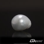 Keshi Pearl (Moti) 10.53Carat (11.58Ratti) - Image 2