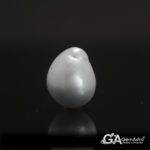 Keshi Pearl (Moti) 10.53Carat (11.58Ratti)