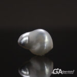 Keshi Pearl (Moti) 7.67Carat (8.43Ratti) - Image 3