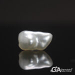 Keshi Pearl (Moti) 5.66Carat (6.22Ratti) - Image 2