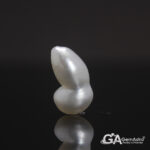 Keshi Pearl (Moti) 7.61Carat (8.37Ratti) - Image 2