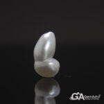 Keshi Pearl (Moti) 7.61Carat (8.37Ratti)
