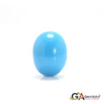Turquoise (Firoza) 9.02 Carat (9.92 Ratti)