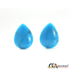 Turquoise (Firoza) 18.82 Carat (20.70 Ratti)