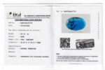 Turquoise (Firoza) 26.11 Carat (28.72 Ratti) - Image 2