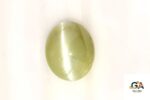 Cats Eye (Lehsuniya) 7.75 Carat (8.61 Ratti) - Image 2