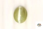 Cats Eye (Lehsuniya) 7.75 Carat (8.61 Ratti) - Image 3