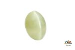 Cats Eye (Lehsuniya) 4.69 Carat (5.15Ratti) - Image 2