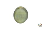 Cats Eye (Lehsuniya) 7.91Carat (8.70Ratti) - Image 4