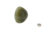 Cats Eye 8.64 Carat (Lehsuniya 9.50 Ratti) - Image 3