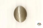 Cats Eye (Lehsuniya) 8.80 Carat (9.78 Ratti) - Image 2