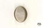 Cats Eye (Lehsuniya) 8.80 Carat (9.78 Ratti) - Image 3