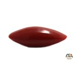 Red Coral 6.32 Carat (7.01 Ratti) - Image 3