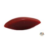Red Coral 6.32 Carat (7.01 Ratti) - Image 4