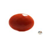 Red Coral 9.05 Carat (9.95 Ratti) - Image 4