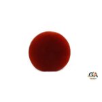 Red Coral 5.27 Carat (5.79 Ratti) - Image 4
