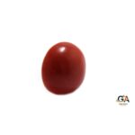 Red Coral 5.27 Carat (5.79 Ratti) - Image 5