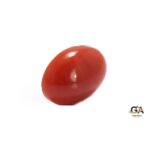 Red Coral 2.6 Carat (2.86 Ratti) - Image 3