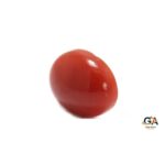 Red Coral 2.6 Carat (2.86 Ratti) - Image 4