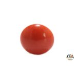 Red Coral 6.20 Carat (6.82 Ratti) - Image 3