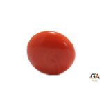 Red Coral 6.20 Carat (6.82 Ratti)