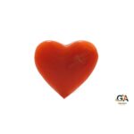 Red Coral 3.48 Carat (3.82Ratti)