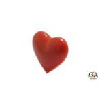 Red Coral 9.42 Carat (10.36 Ratti) - Image 2