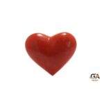Red Coral 9.42 Carat (10.36 Ratti)