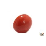 Red Coral 7.85 Carat (8.63 Ratti) - Image 2