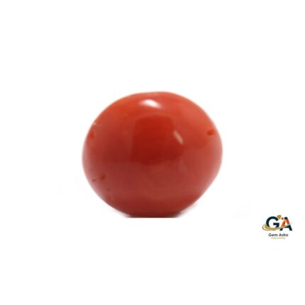 Red Coral 7.85 Carat (8.63 Ratti)