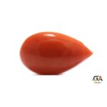 Red Coral 9.80Carat (10.78Ratti)