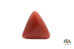 Red Coral (Moonga) 9.63Carat (10.59Ratti) - Image 2