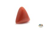 Red Coral (Moonga) 9.63Carat (10.59Ratti) - Image 4