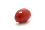 Red Coral (Moonga) 7.71 Carat (8.48 Ratti) - Image 4