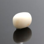 Natural White Coral 7.05 Carat (7.75 Ratti) - Image 3