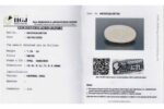 Opal 7.54 Carat (8.29 Ratti) - Image 2