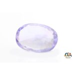 Purple Sapphire (Khooni Neelam) 3.65 Carat (4.01 Ratti) - Image 4