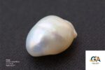 Natural Keshi Pearl (Moti) 14.47 Carat (15.91 Ratti) - Image 2