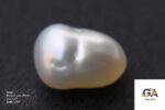 Natural Keshi Pearl (Moti) 5.27 Carat (5.80 Ratti) - Image 2